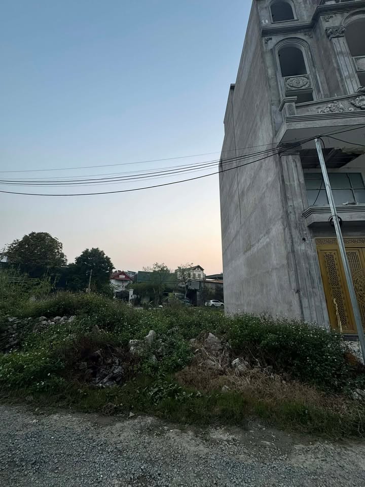 Đất dịch vụ Kim Chung Hoài Đức 62m² giá 1.5 tỷ - Đường ô tô tránh, vị trí đẹp!