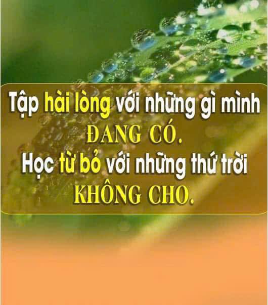 Đất thổ cư 80m² Trưng Trắc, Phúc Yên giá 1.4 tỷ - Đầu tư sinh lời ngay!