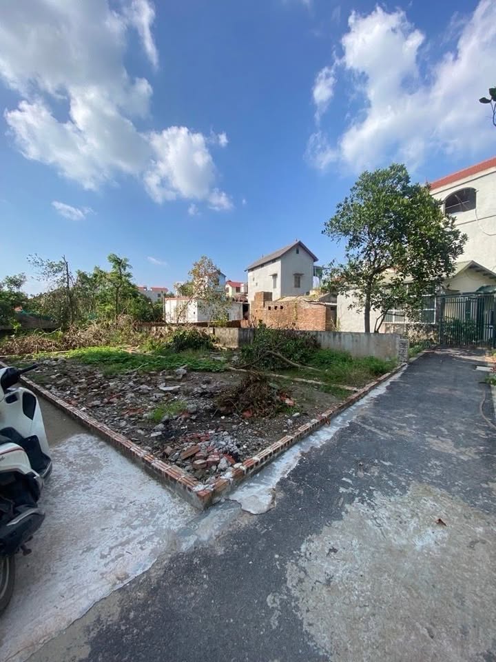 Đất Đa Tốn 48.6m² giá 4.25 tỷ - Cơ hội hiếm có đầu tư!