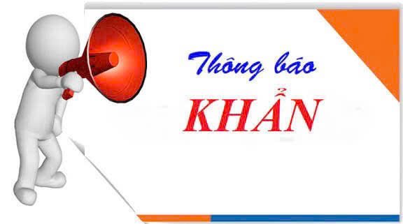 Đất nền Thạch Ngọc, Thạch Hà 142m² giá chỉ 400 triệu - Đón đầu sóng KCN!