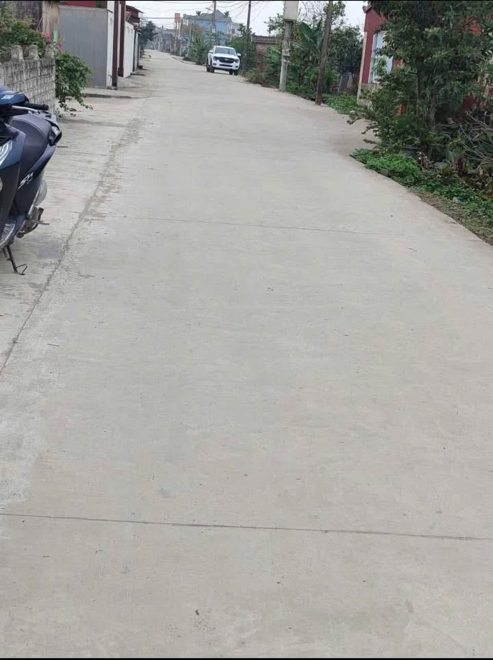 Đất thổ cư Thụy Hưng - Thái Thụy 100m² giá chỉ 7xx triệu - Cơ hội đầu tư tuyệt vời!