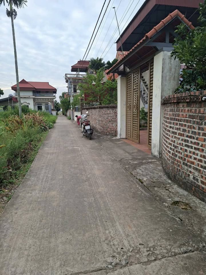 Đất Lôi Châu An Thịnh 94m² giá 1 tỷ - Diện tích vuông vắn, tiện ích đầy đủ!