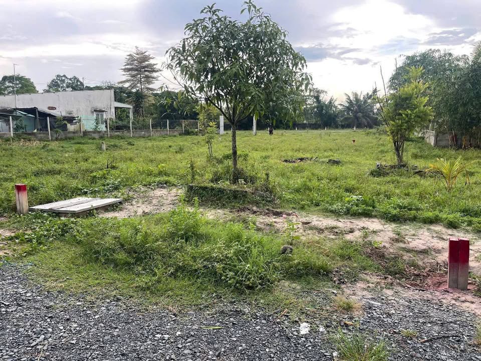 Đất nền Thái Mỹ Củ Chi 135m² giá 1.25 tỷ - Sổ đỏ chính chủ sẵn sàng xây dựng!