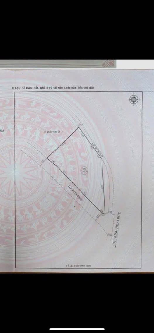 Đất Trịnh Hoài Đức - Đà Lạt 256m² giá 8.5 tỷ - Sổ hồng riêng, hẻm xe hơi!