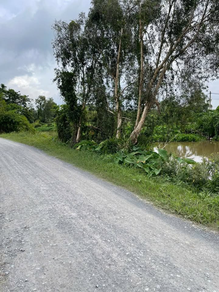 Nhà vườn mặt tiền kênh Đá Hàng, Củ Chi 1192m² giá 6.8 tỷ - Phong thủy tốt, pháp lý rõ ràng!