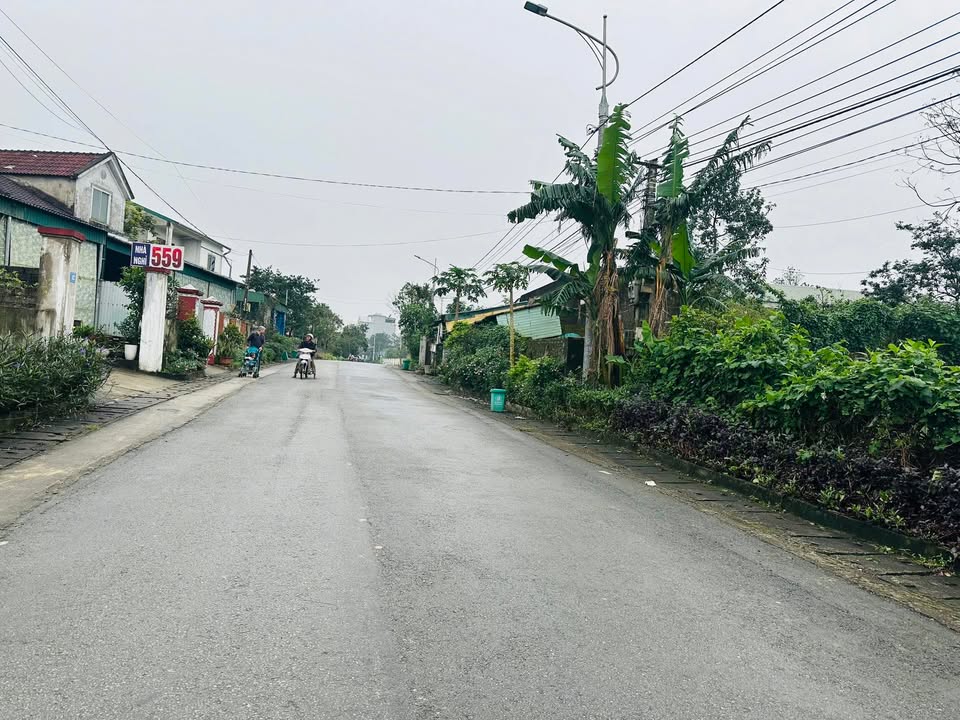 Bán đất Trục Nguyễn Biểu, Ba Đình, Hà Nội 162m² - Phong thủy tốt, giá chỉ 1.9 tỷ!