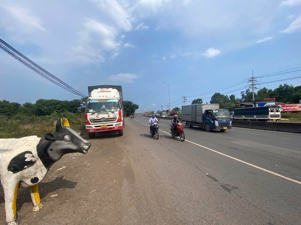 Đất SKC mặt tiền Quốc Lộ 51 Long Thành 39.211m² giá 260 tỷ - Cơ hội đầu tư tuyệt vời!