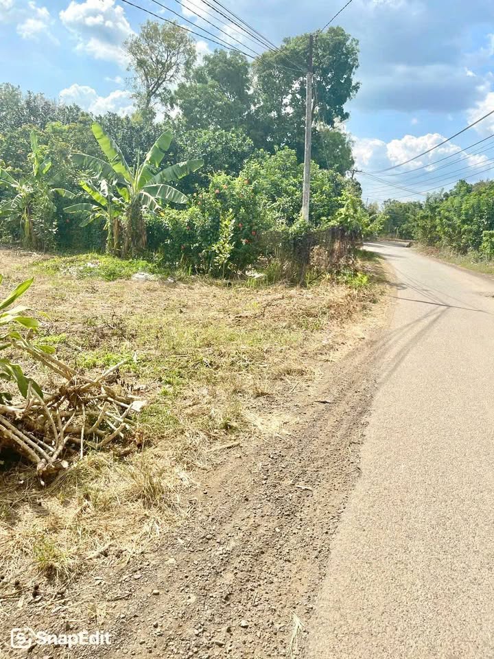 Đất CLN 584m² mặt tiền đường XL 25, xã Dầu Giây - Giá chỉ 1,5 tỷ!