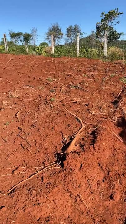 Đất nền Đức Cơ Gia Lai 50000m² giá thỏa thuận - Cơ hội đầu tư hiếm có!