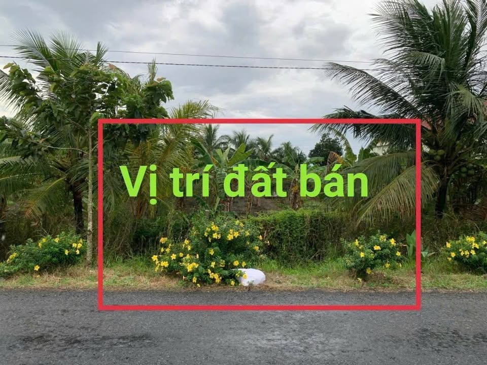 Đất nền mặt tiền đường tỉnh 909, xã Ngãi Tứ, 505m² giá 1.3 tỷ - Cơ hội đầu tư tuyệt vời!