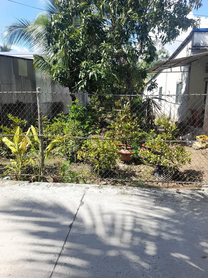 Đất nền Thới Lai Cần Thơ 504m² giá 1.4 tỷ - Gần chợ, trường học!