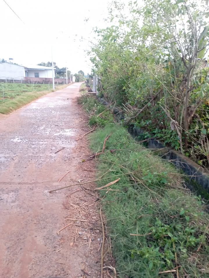 Đất nền tại Hòa Lạc, Lâm Hà 2730m² giá 850 triệu - Cơ hội đầu tư sinh lời!