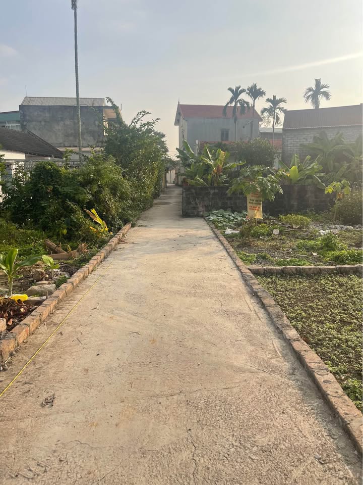 Đất nền Thủy Nguyên 55m² - Bán gấp, vị trí đắc địa cho nhà đầu tư!