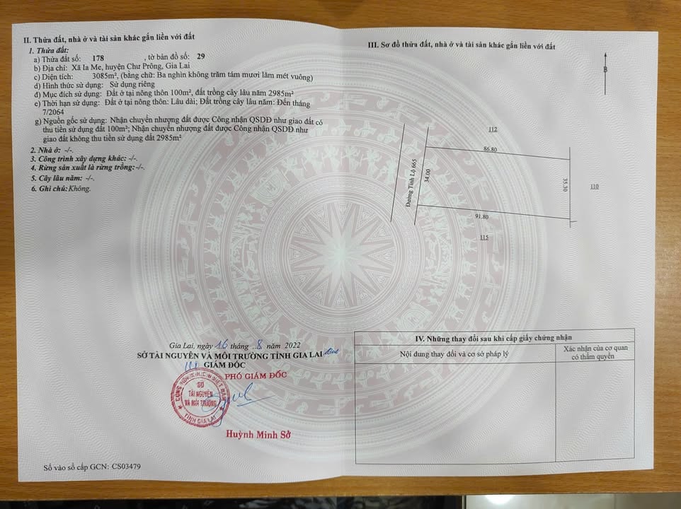 Đất nền mặt tiền đường TL675, xã Ia Me, 3094m² giá 21.21 tỷ - Cơ hội đầu tư tuyệt vời!