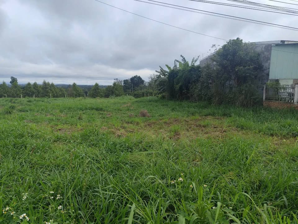 Đất Cư Ni, Ea Kar 696,1m² - Sổ hồng riêng, Giá thương lượng!