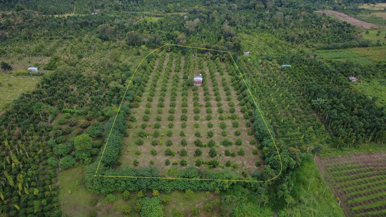 Đất nông nghiệp Ea Blang 1.1ha giá chỉ 510 triệu - Đầu tư lý tưởng!