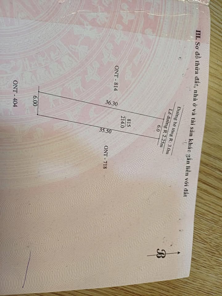 Đất ở thôn Mậu Hoà, Duy Trung 216m² giá 1.1 tỷ - Đường bê tông rộng rãi!