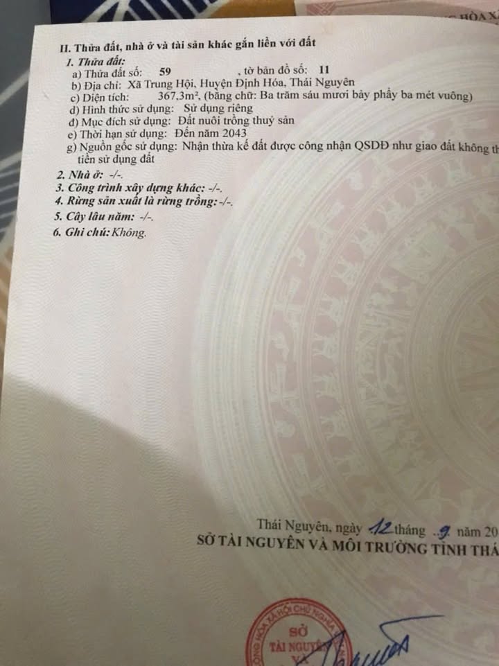 Đất nền trồng cây xóm Đoàn Kết, xã Trung Hội 365m² giá 290 triệu - Cơ hội đầu tư hấp dẫn!