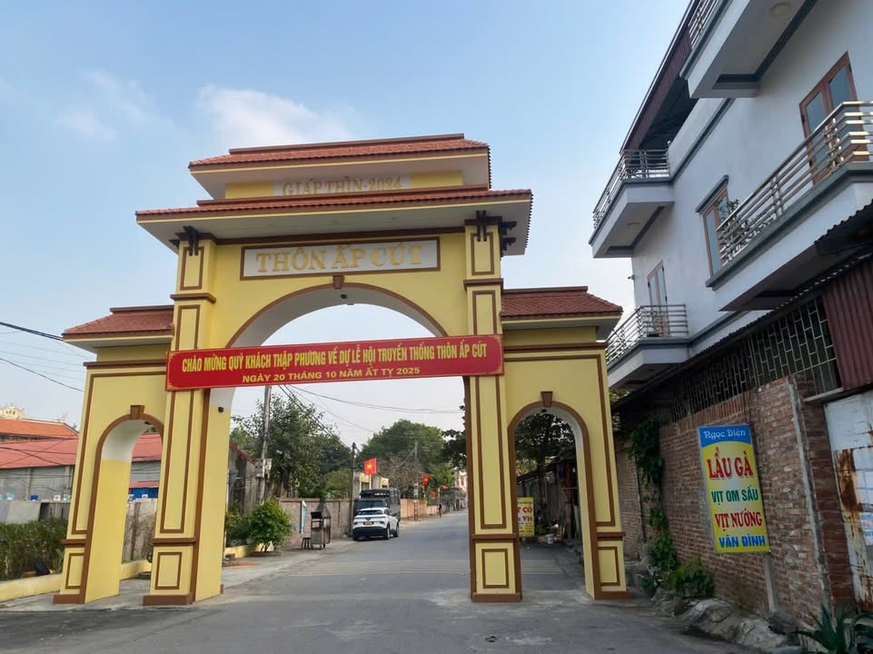 Đất thổ cư 101m² tại Ấp Cút, Mai Đình - Giá 4 tỷ, đầu tư sinh lời cao!