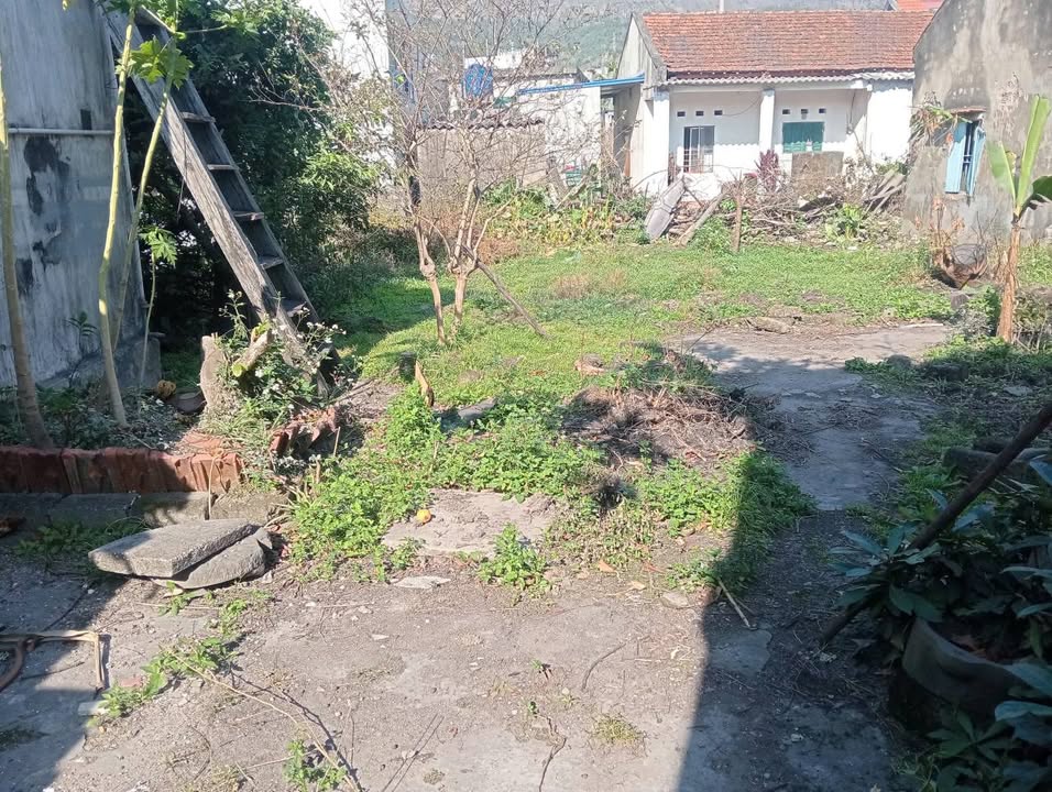 Đất Cẩm Đông 447m² giá chỉ 2.68 tỷ - Cơ hội không thể bỏ lỡ!