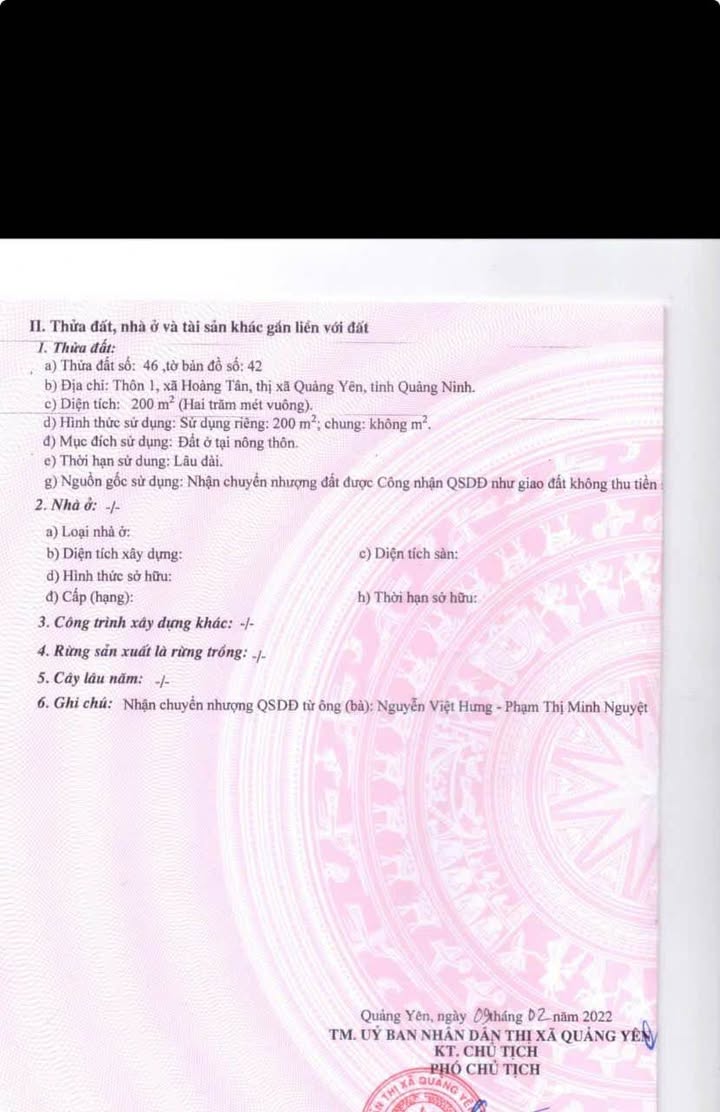 Đất nền chính chủ tại Hoàng Tân, Quảng Yên 200m² - Giá cực tốt, đầu tư sinh lời!