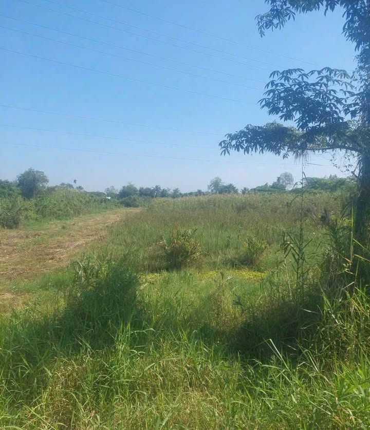 Đất mặt tiền đường ĐH519, xã Phước Thành, Củ Chi 250m² - Giá chỉ 175 triệu!