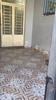 Nhà cho thuê 2 tầng tại Long Thượng, Cần Giuộc - 4 phòng ngủ giá 3.5 triệu/tháng!