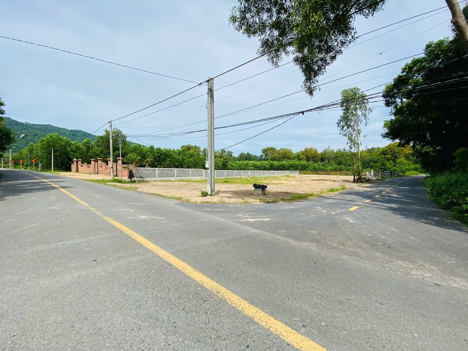 Đất nền Phước Hải 570m² giá 2.8 tỷ - Đầu tư sinh lời hấp dẫn!