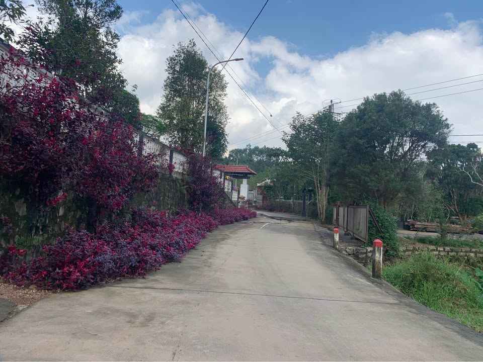 Đất thổ cư đường Bùi Đình Tuý, Thủy Bằng, Huế 100m² giá 850 triệu - Sổ chung chính chủ!