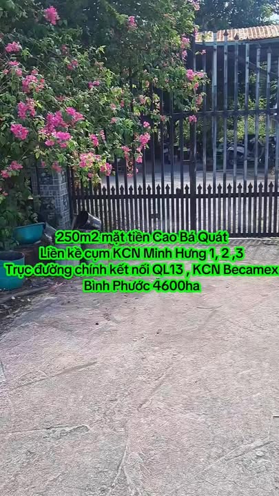 Đất mặt tiền Cao Bá Quát Chơn Thành 325m² giá 400 triệu - Đầu tư sinh lời ngay!