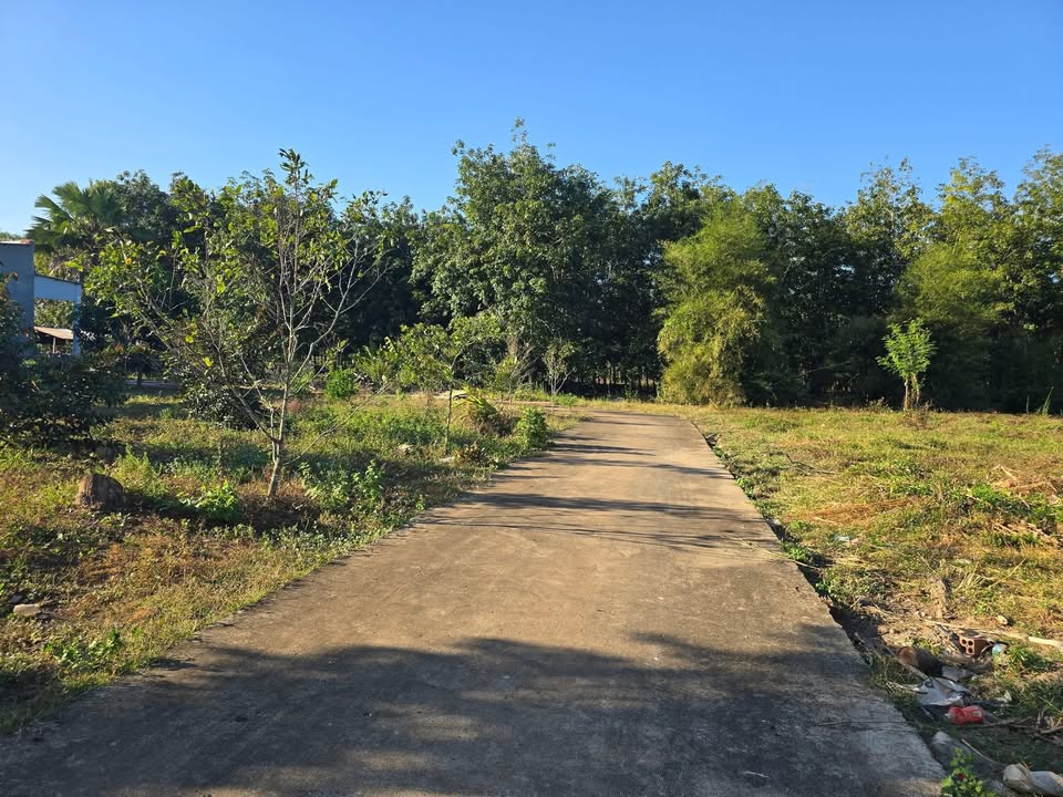 Đất nền 2700m² tại phường Thanh Hòa, Bù Đốp - Sổ hồng chính chủ, giá chỉ 440 triệu!