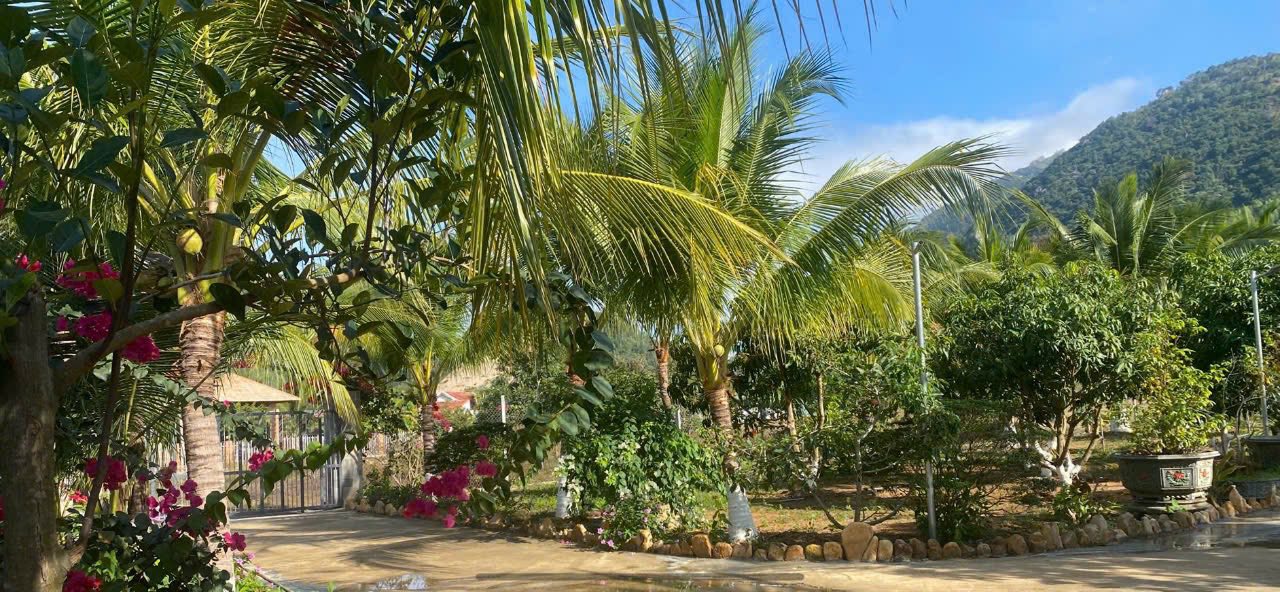 Đất nền Phước Đồng Nha Trang 3500m² giá 9.3 tỷ - Cơ hội đầu tư tuyệt vời!