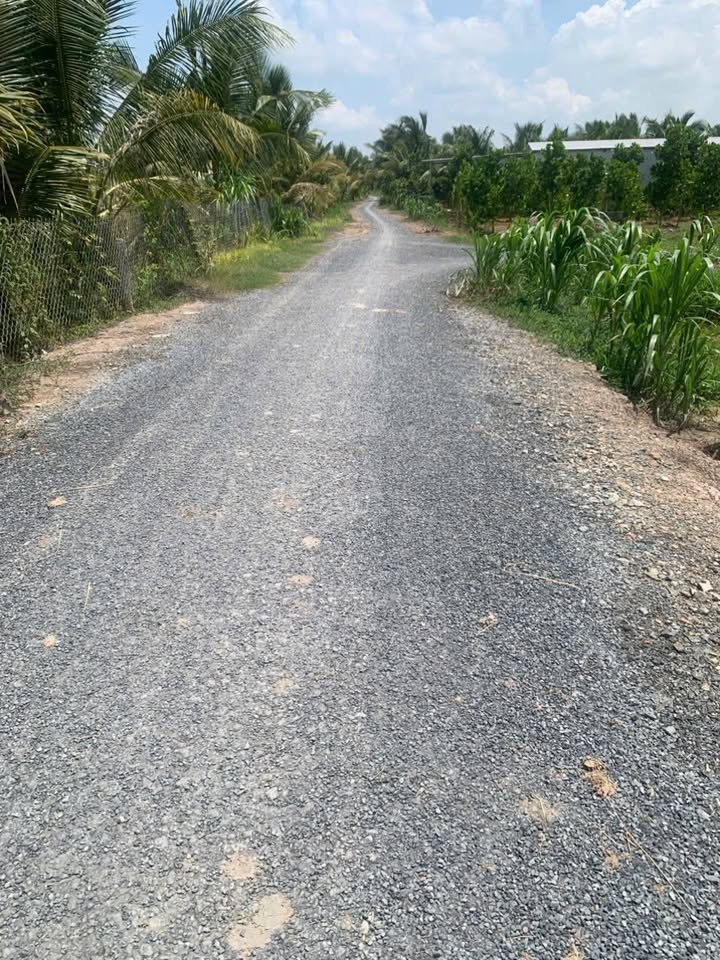 Đất lúa 4 công 6 tại Thị Trấn Cái Nhum - Giá 2.53 tỷ thương lượng - Đường ô tô vào tận nơi!