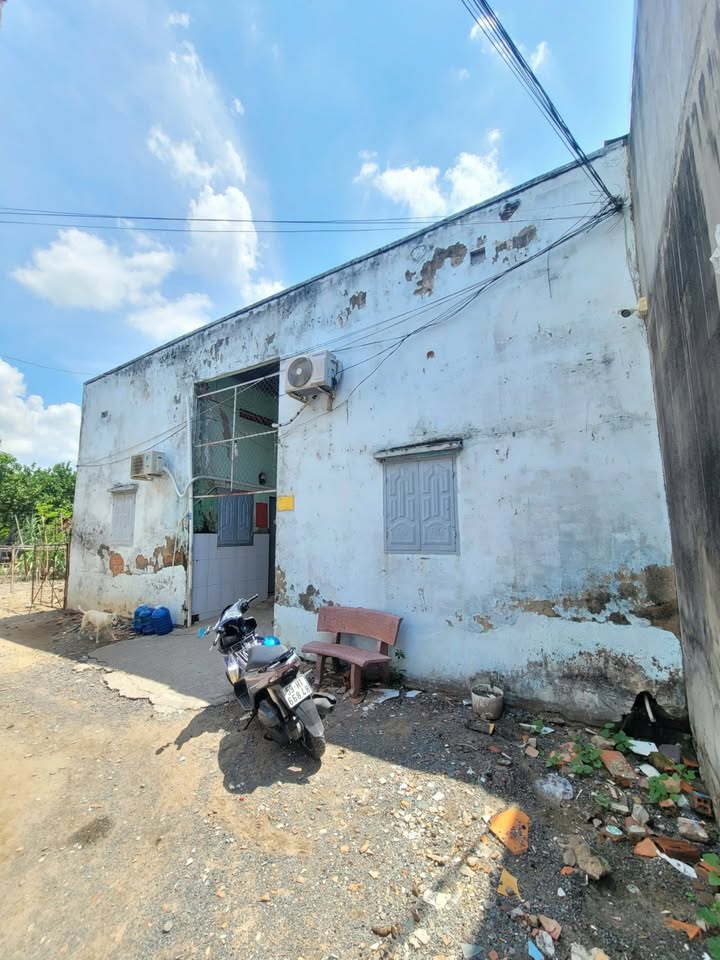 Đất nền 260m² phường Tân Đông Hiệp chỉ 3.68 tỷ - Cơ hội đầu tư sinh lời!