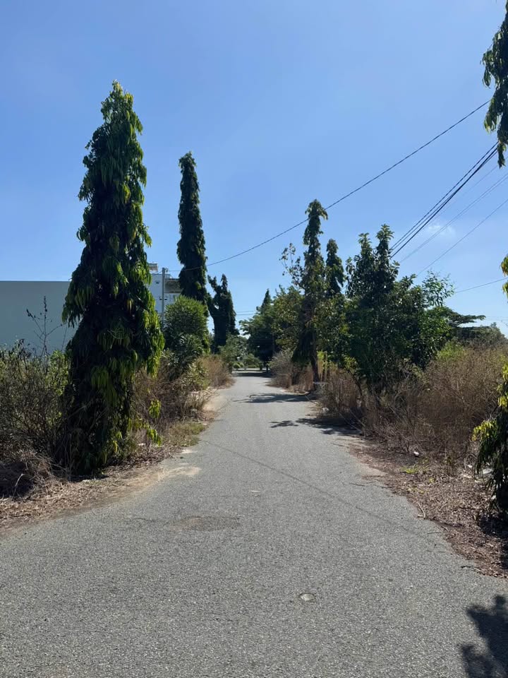 Bán đất nền góc 2 mặt tiền Khu Biệt thự Vườn Khóm 8, An Giang 201m² - Đầu tư sinh lời hấp dẫn!