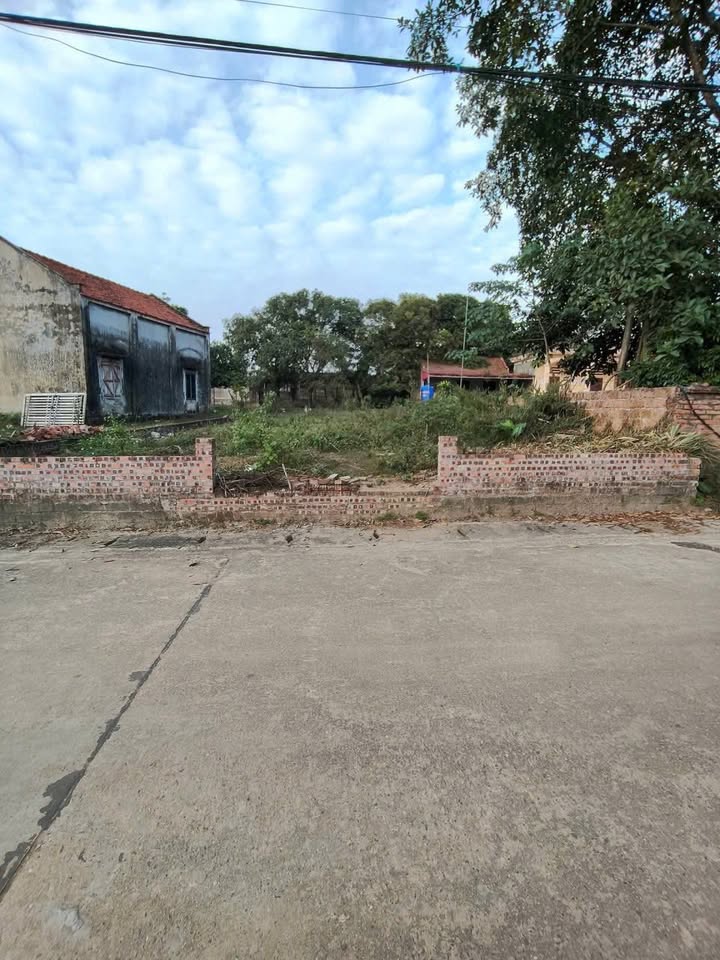 Đất nền 300m² tại Phú Mỹ A, Ba Vì - Giá chỉ 2 tỷ VND, cơ hội đầu tư tuyệt vời!