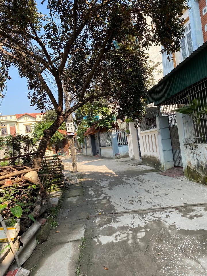 Đất vàng Hàm Rồng, Thanh Hóa 67m² giá 2 tỷ - Cơ hội đầu tư hiếm có!