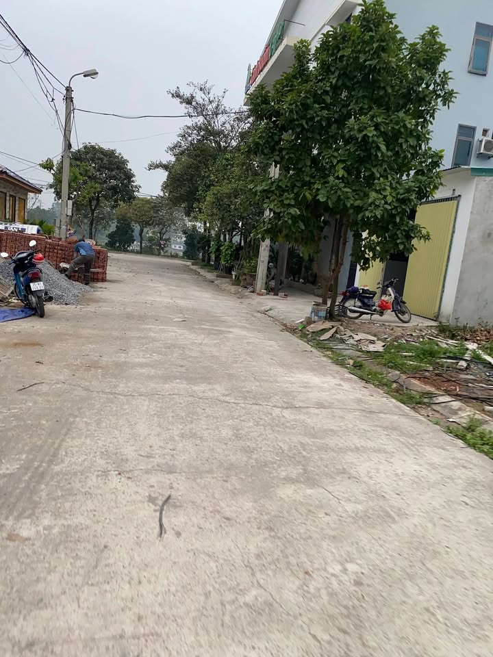 Đất phân lô Bích Đào, Ninh Bình 111m² giá 5 tỷ - Vị trí đắc địa gần chợ và trường học!