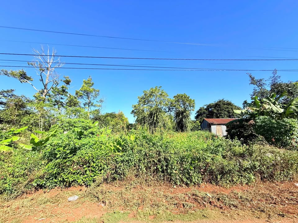 Đất thổ cư mặt tiền Ỷ Lan, Pleiku 270m² giá 1 tỷ - Đầu tư sinh lời ngay!