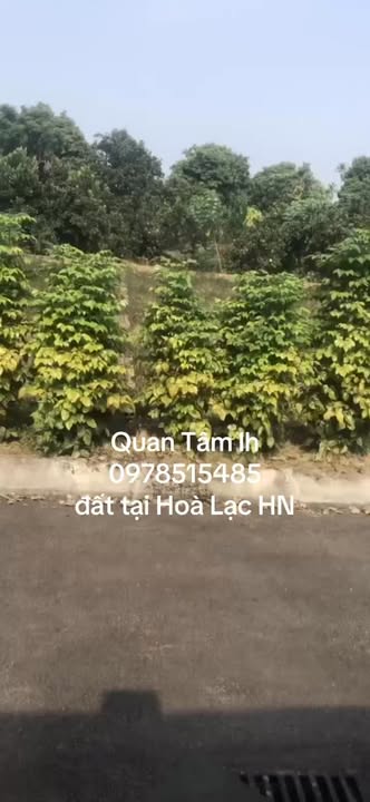 Đất thổ cư xã Phú Cát, Quốc Oai, 200m² giá 5 tỷ - Cơ hội đầu tư tuyệt vời!