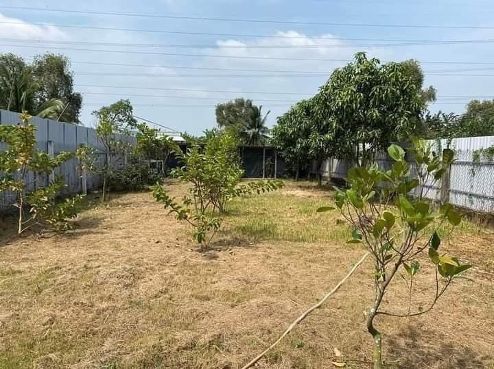 Đất vườn 5600m² xã Đồng Phú, giá 550 triệu - Tiềm năng đầu tư lớn!