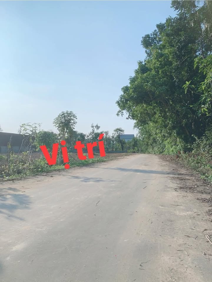 Đất nền dự án Hợp Tiến, Triệu Sơn 116m² giá chỉ 400 triệu - Cơ hội đầu tư tuyệt vời!