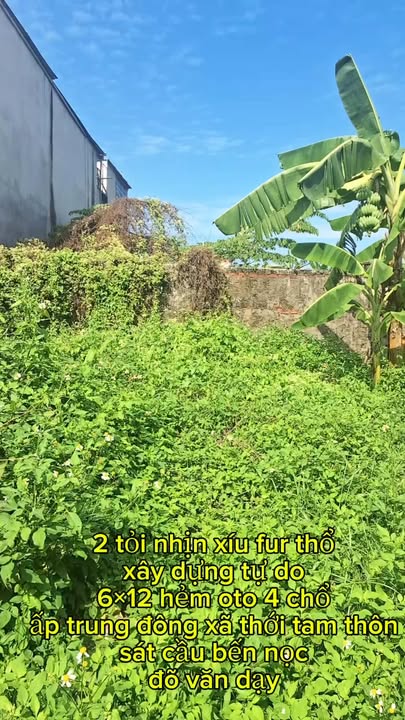 Lô đất Hóc Môn 72m² giá chỉ 2 tỷ - Sổ đỏ chính chủ, xây dựng tự do!