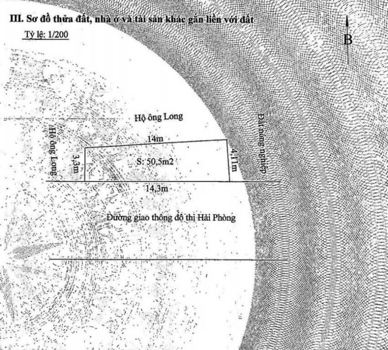 Bán đất mặt đường Bùi Viện Hải An 50,5m² giá 2,65 tỷ - Đầu tư sinh lời ngay!