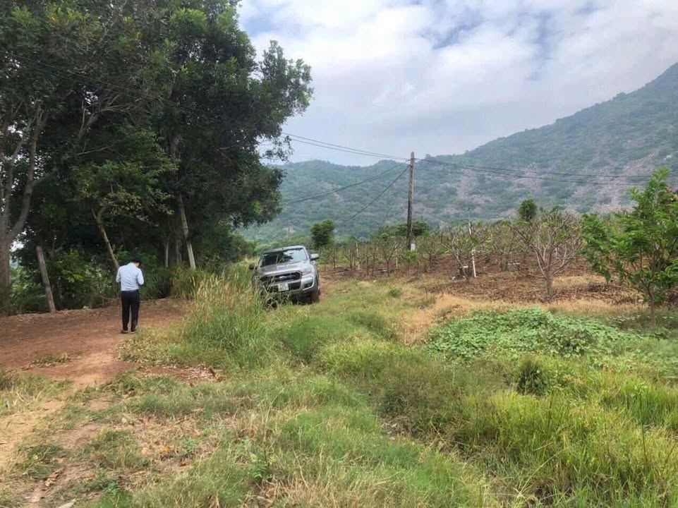 Đất nền 1 mẫu Ninh Phú Tây Ninh 10.000m² giá 1.9 tỷ - Mặt tiền 40m hiếm có!