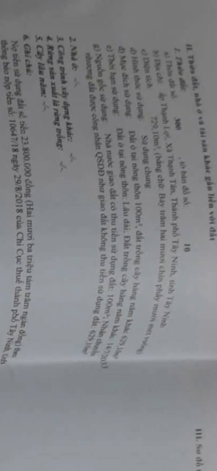 Đất nền ấp Thạnh Lợi, Bình Minh, Tây Ninh 729m² giá 700 triệu - Cơ hội đầu tư hấp dẫn!