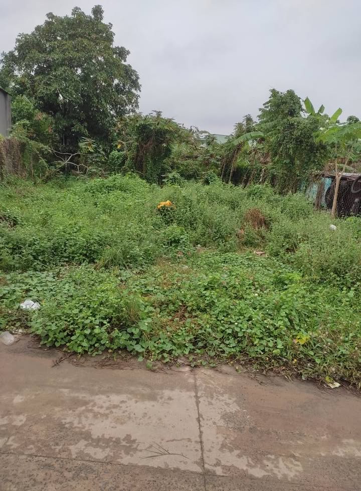 Đất thổ cư 119m² Hiệp Thạnh, Gò Dầu - Giá chỉ 800 triệu, thương lượng!