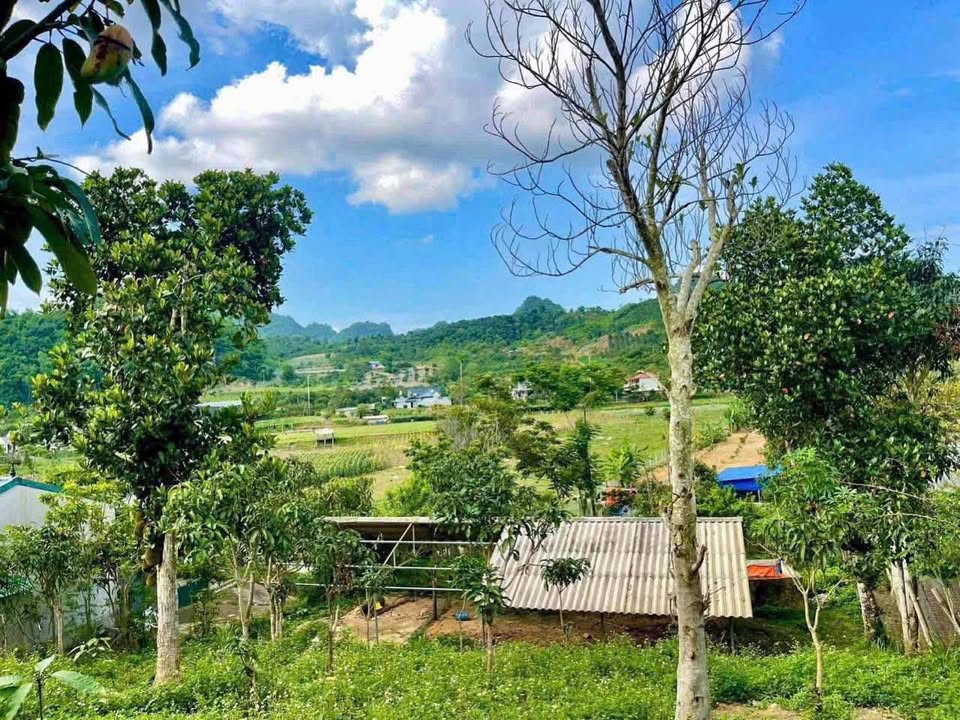 Đất Vườn Chiềng Ngần 1600m² giá 580 triệu - View Hồ Thoáng Đẹp