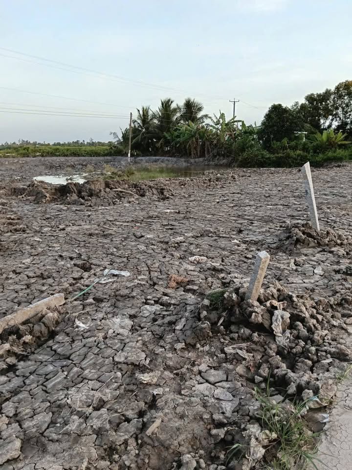 Đất nền Tân Thạnh Cà Mau 1500m² giá chỉ 1.5 tỷ - Cơ hội đầu tư tuyệt vời!