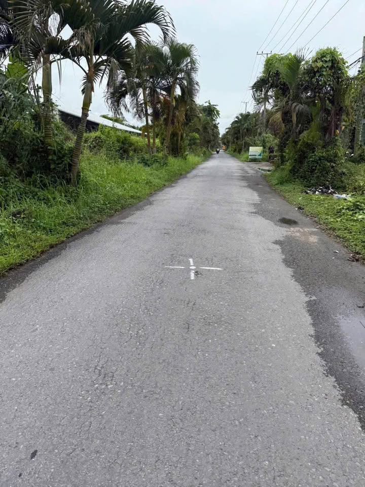 Đất nền mặt tiền Hàng Cau, Phước Thạnh, Bến Tre 370m² giá chỉ 1.85 tỷ - Đầu tư sinh lời ngay!